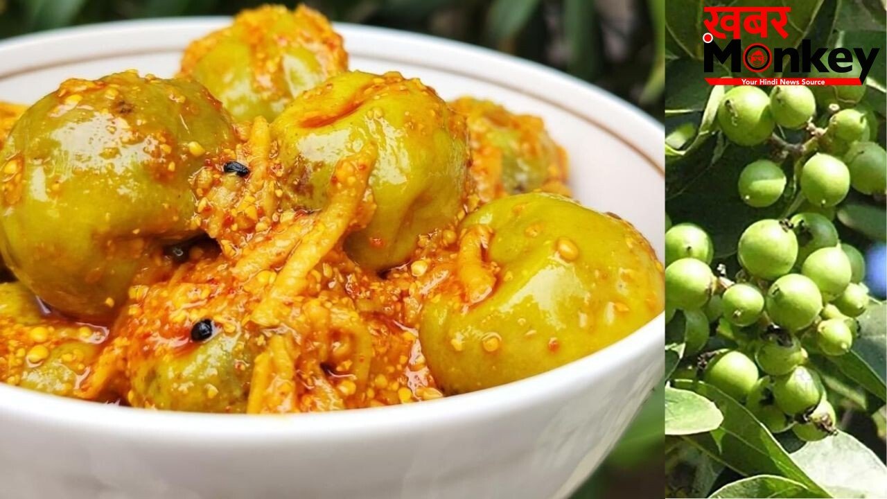 एक बार बनाएं सालभर चलाएं ये राजस्थानी लसूड़े या गूंदे का चटपटा अचार, नोट कर लें रेसिपी
