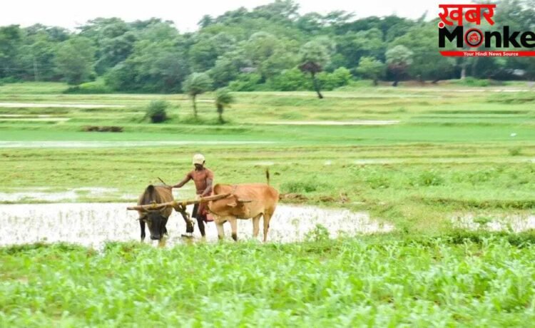 मानसून से पहले किसानों को तोहफा, कर्ज माफी योजना को कैबिनेट की हरी झंडी