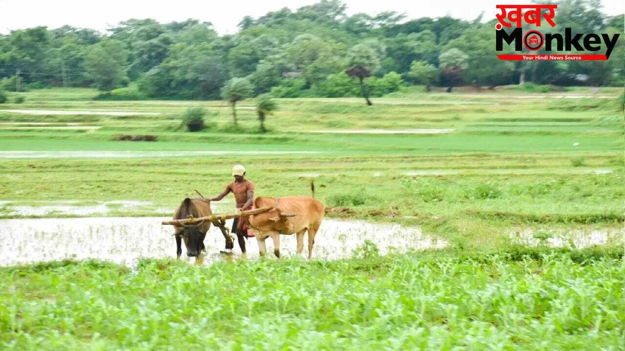 मानसून से पहले किसानों को तोहफा, कर्ज माफी योजना को कैबिनेट की हरी झंडी