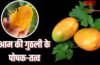 आम की गुठली में कितने पाए जाते हैं विटामिन और मिनरल्स? सेहत को फायदे भी हैं ढेरों