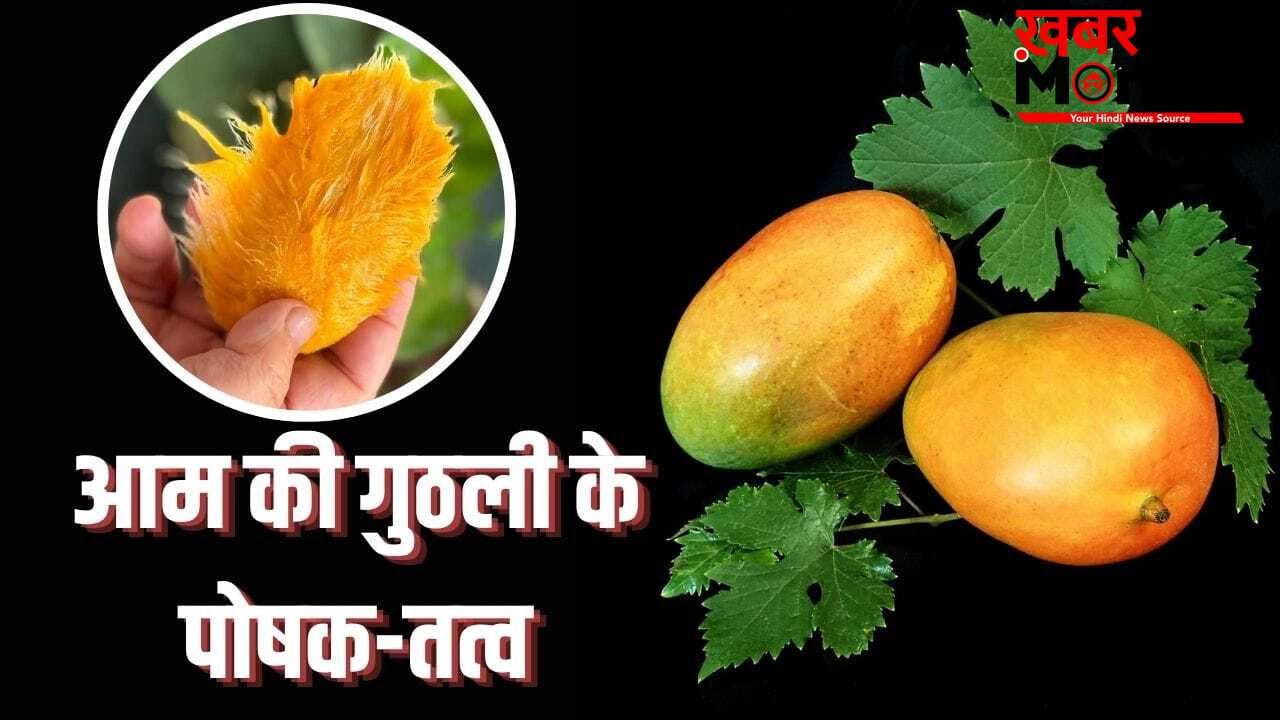 आम की गुठली में कितने पाए जाते हैं विटामिन और मिनरल्स? सेहत को फायदे भी हैं ढेरों