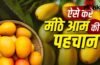 How to Identify Sweet Mango: आम मीठा है या नहीं…कैसे पहचाने? किसान ने बताया आसान तरीका