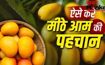 How to Identify Sweet Mango: आम मीठा है या नहीं…कैसे पहचाने? किसान ने बताया आसान तरीका