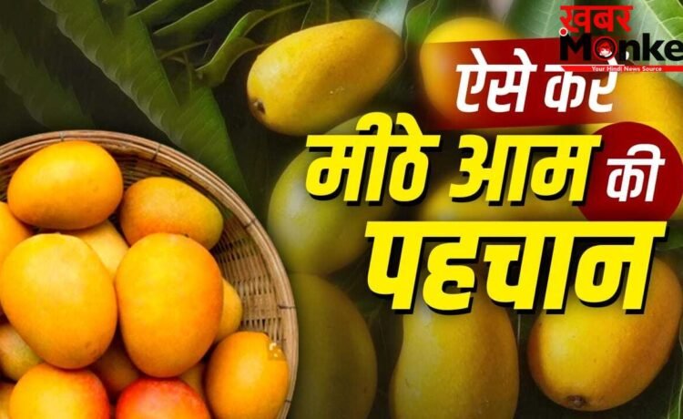 How to Identify Sweet Mango: आम मीठा है या नहीं…कैसे पहचाने? किसान ने बताया आसान तरीका