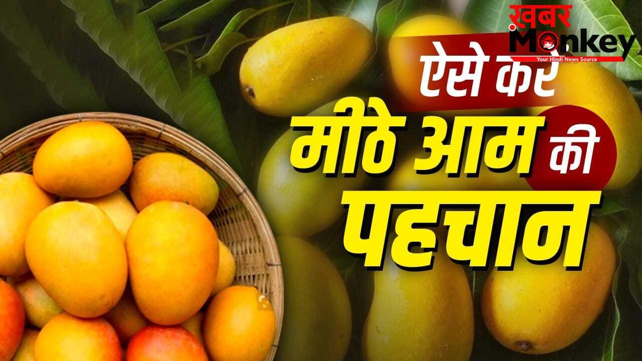 How to Identify Sweet Mango: आम मीठा है या नहीं…कैसे पहचाने? किसान ने बताया आसान तरीका