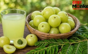इम्यूनिटी से लेकर दिल की सेहत तक; पूरे साल रोज़ सिर्फ 1 आंवला खाने से हो सकते हैं ये 5 फायदे, एक्सपर्ट से जानिए कैसे