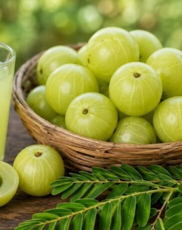 इम्यूनिटी से लेकर दिल की सेहत तक; पूरे साल रोज़ सिर्फ 1 आंवला खाने से हो सकते हैं ये 5 फायदे, एक्सपर्ट से जानिए कैसे