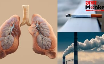 वायु प्रदूषण या स्मोकिंग? एक्सपर्ट से जानें फेफड़ों को किससे पहुंचता है ज्यादा नुकसान?