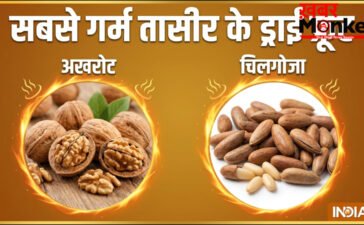 सबसे ज्यादा गर्म तासीर का कौन सा ड्राई फ्रूट होता है, क्या गर्मी में इससे करना चाहिए परहेज