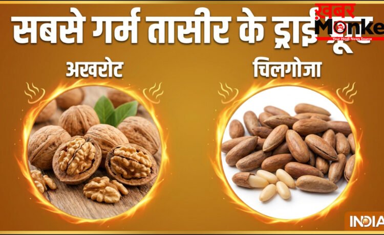 सबसे ज्यादा गर्म तासीर का कौन सा ड्राई फ्रूट होता है, क्या गर्मी में इससे करना चाहिए परहेज