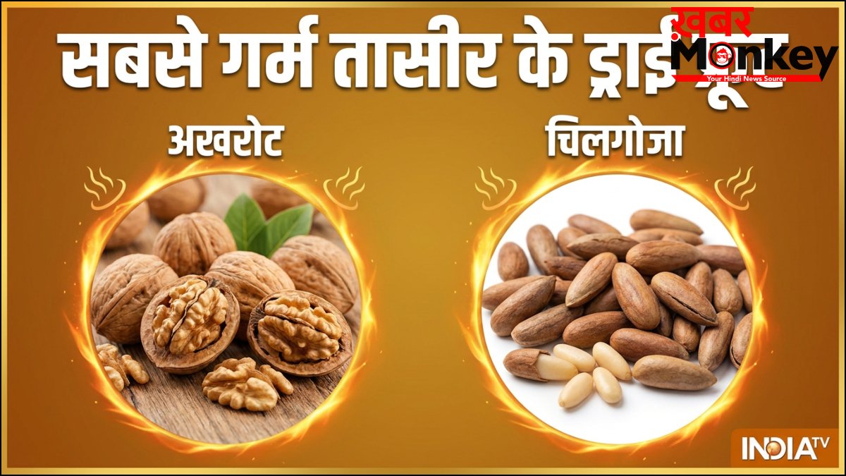 सबसे ज्यादा गर्म तासीर का कौन सा ड्राई फ्रूट होता है, क्या गर्मी में इससे करना चाहिए परहेज