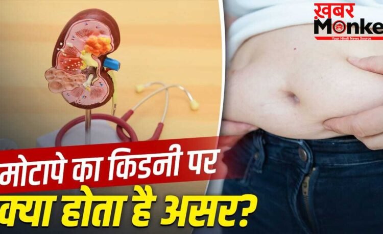 मोटापा सिर्फ दिल ही नहीं, किडनी की सेहत पर भी डाल सकता है असर