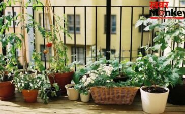 Old Tyre Reuse: Old Tyre Reuse का ये तरीका हो रहा Viral, अब आपका Garden भी पाएगा एक Designer Look
