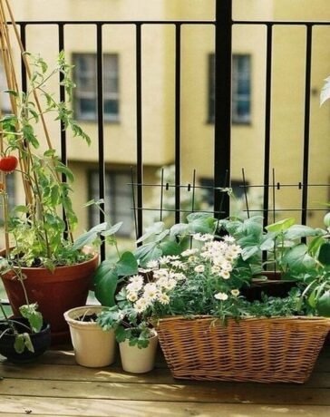 Old Tyre Reuse: Old Tyre Reuse का ये तरीका हो रहा Viral, अब आपका Garden भी पाएगा एक Designer Look