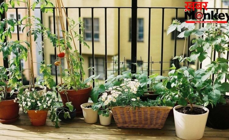 Old Tyre Reuse: Old Tyre Reuse का ये तरीका हो रहा Viral, अब आपका Garden भी पाएगा एक Designer Look