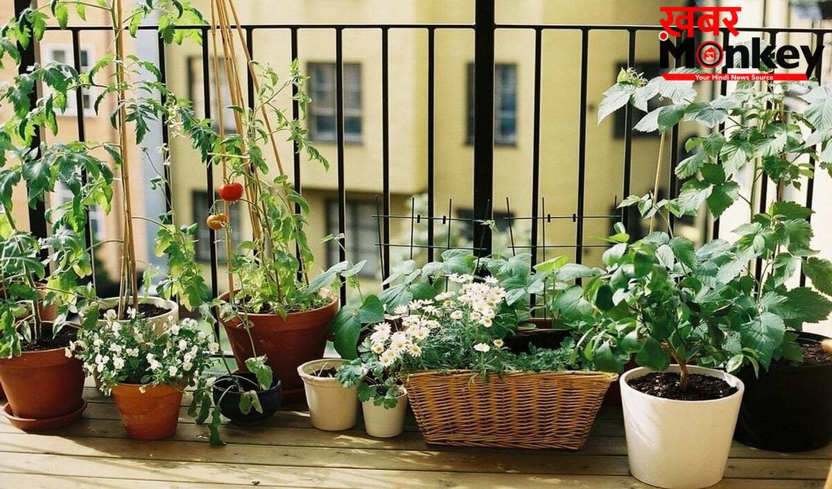 Old Tyre Reuse: Old Tyre Reuse का ये तरीका हो रहा Viral, अब आपका Garden भी पाएगा एक Designer Look