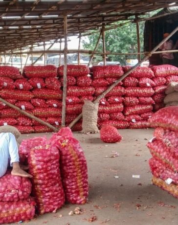 सरकार ने प्याज की खरीद कीमत 24.4% बढ़ाई, जानें अब किसानों को कितना मिलेगा भाव