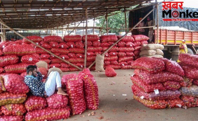सरकार ने प्याज की खरीद कीमत 24.4% बढ़ाई, जानें अब किसानों को कितना मिलेगा भाव