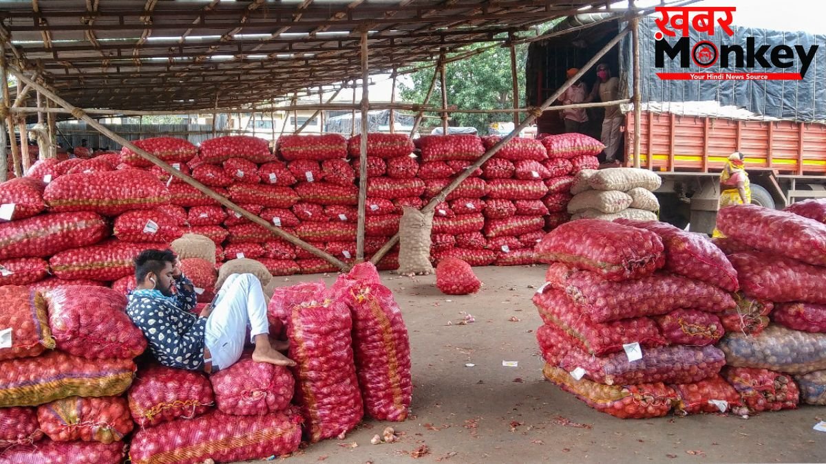 सरकार ने प्याज की खरीद कीमत 24.4% बढ़ाई, जानें अब किसानों को कितना मिलेगा भाव