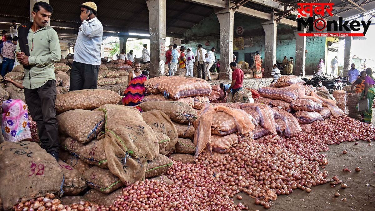 किसानों ने एक क्विंटल प्याज के लिए मांगे 3000 रुपये, बोले- मौजूदा खरीद कीमत पर लागत निकलना भी मुश्किल