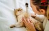 Pet Cat Health Care: नाखूनों का पीला पड़ना, फर का झड़ना, पालतू बिल्ली में इन संकेतों को न करें नजरअंदाज