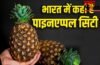Pineapple: भारत में कहां है अनानास का गढ़? जिसके पास GI टैग, सऊदी से मालदीव तक डिमांड Pineapple: भारत में कहां है अनानास का गढ़? जिसके पास GI टैग, सऊदी से मालदीव तक डिमांड