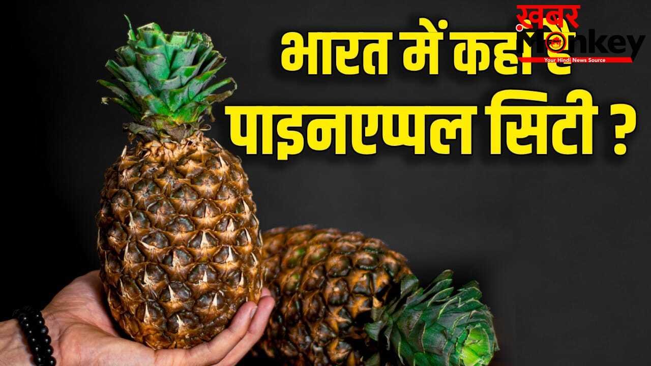 Pineapple: भारत में कहां है अनानास का गढ़? जिसके पास GI टैग, सऊदी से मालदीव तक डिमांड