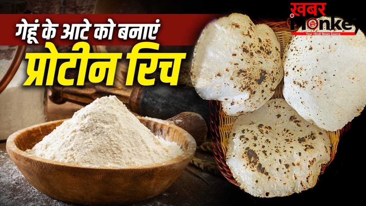 Protein Rich Wheat Roti: गेहूं के आटे की रोटी भी बनेगी प्रोटीन से भरपूर, बस मिला लें ये 3 चीज़ें