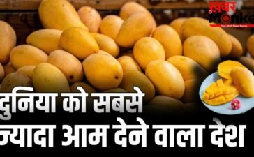 Mango: दुनिया में सबसे ज्यादा आम उगाकर भी भारत टॉप एक्सपोर्टर क्यों नहीं, कौन सा देश सबसे आगे?