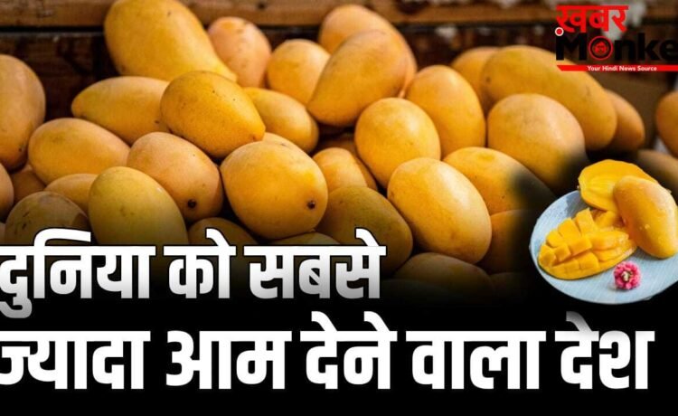 Mango: दुनिया में सबसे ज्यादा आम उगाकर भी भारत टॉप एक्सपोर्टर क्यों नहीं, कौन सा देश सबसे आगे?