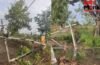 Greater Noida Weather: 210 पोल गिरे, 72 ट्रांसफार्मर ठप, अंधेरे में डूबे इलाके… ग्रेटर नोएडा में आंधी तूफान ने मचाई तबाही