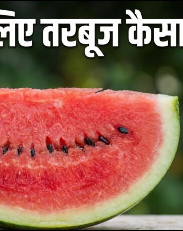 हार्ट के लिए फायदेमंद है तरबूज, ब्लड प्रेशर को भी रखता है कंट्रोल, इन खास गुणों से है भरपूर