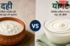 Yogurt vs Curd: क्या है योगर्ट जो दही से भी ज्यादा फायदेमंद? बहुत कम जानते हैं सही जवाब