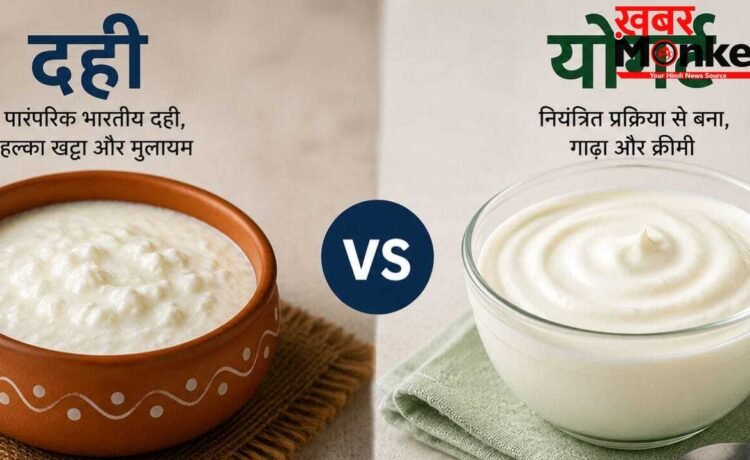 Yogurt vs Curd: क्या है योगर्ट जो दही से भी ज्यादा फायदेमंद? बहुत कम जानते हैं सही जवाब