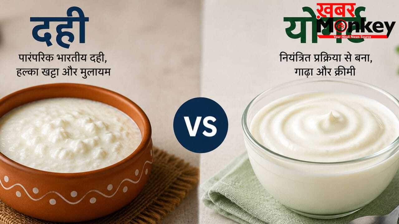 Yogurt vs Curd: क्या है योगर्ट जो दही से भी ज्यादा फायदेमंद? बहुत कम जानते हैं सही जवाब