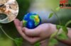 World Environment Day 2026: किचन के कचरे का रीयूज…रोज की वो 5 आदतें जो पर्यावरण को बचाने में करती हैं सपोर्ट