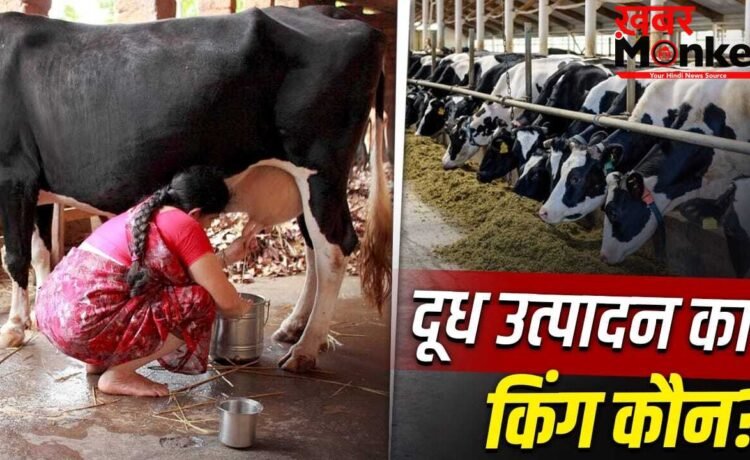 एमपी-बिहार नहीं… भारत का ये राज्य अकेले करता है दुनिया के कई देशों से ज्यादा दूध का उत्पादन; ये हैं टॉप 10 नाम
