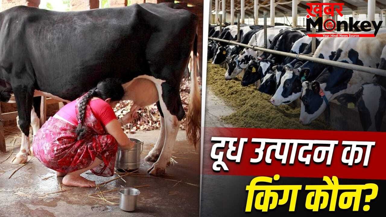 एमपी-बिहार नहीं… भारत का ये राज्य अकेले करता है दुनिया के कई देशों से ज्यादा दूध का उत्पादन; ये हैं टॉप 10 नाम