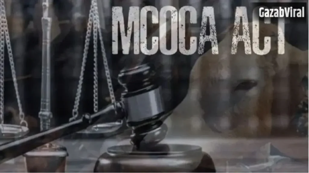 Bhandara Crime: भंडारा में सम्राट गैंग पर MCOCA, गोवंश तस्करी के खिलाफ बड़ी कार्रवाई​