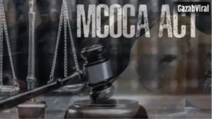 Bhandara Crime: भंडारा में सम्राट गैंग पर MCOCA, गोवंश तस्करी के खिलाफ बड़ी कार्रवाई​