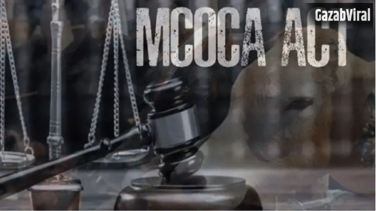 Bhandara Crime: भंडारा में सम्राट गैंग पर MCOCA, गोवंश तस्करी के खिलाफ बड़ी कार्रवाई