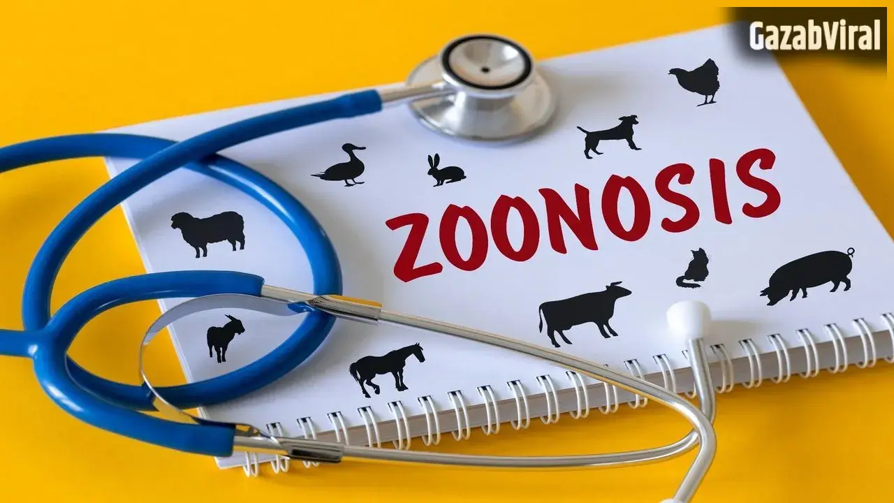 World Zoonoses Day: जानवरों से प्यार करें, लेकिन इन बीमारियों से रहें सावधान! जानें जूनोटिक रोगों के बारे में