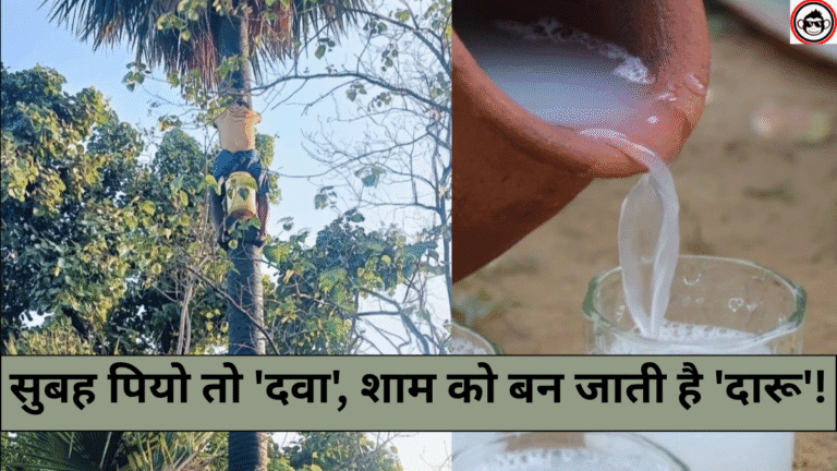 सुबह पियो तो ‘दवा’, शाम को बन जाती है ‘दारू’! ताड़ी का ये अनोखा राज़ जानकर चौंक जाएंगे आप! • ˌ सुबह पियो तो ‘दवा’, शाम को बन जाती है ‘दारू’! ताड़ी का ये अनोखा राज़ जानकर चौंक जाएंगे आप! • ˌ
