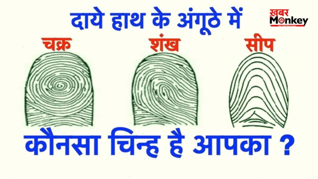 अंगूठे पर बने चक्र, शंख और सीप के चिन्ह बताते हैं आपकी किस्मत! जानिए क्या मिलेगा आपको ˒ अंगूठे पर बने चक्र, शंख और सीप के चिन्ह बताते हैं आपकी किस्मत! जानिए क्या मिलेगा आपको ˒