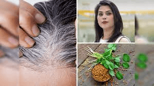 OMG! सफेद दाढ़ी-मूंछˈ अब होंगी जड़ से काली, फिर से दिखेंगे जवान! ये 6 जादुई घरेलू उपाय जानकर चौंक जाएंगे आप! OMG! सफेद दाढ़ी-मूंछˈ अब होंगी जड़ से काली, फिर से दिखेंगे जवान! ये 6 जादुई घरेलू उपाय जानकर चौंक जाएंगे आप!