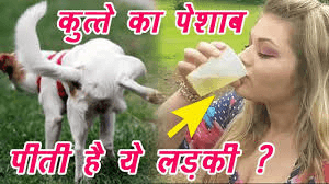 हर रोज़ कुत्ते का पेशाब पीती है ये लड़की, वजह जानकर आप भी हैरान रह जाएंगे! हर रोज़ कुत्ते का पेशाब पीती है ये लड़की, वजह जानकर आप भी हैरान रह जाएंगे!