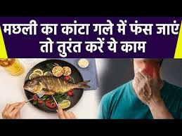 अगर मछली का कांटा गले में फंस जाए तो तुरंत करें ये घरेलू उपाय अगर मछली का कांटा गले में फंस जाए तो तुरंत करें ये घरेलू उपाय