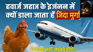 प्लेन के उड़ान भरने से पहले इंजन में चिकन क्यों डाला जाता है? जानिए चौंकाने वाली वजह प्लेन के उड़ान भरने से पहले इंजन में चिकन क्यों डाला जाता है? जानिए चौंकाने वाली वजह