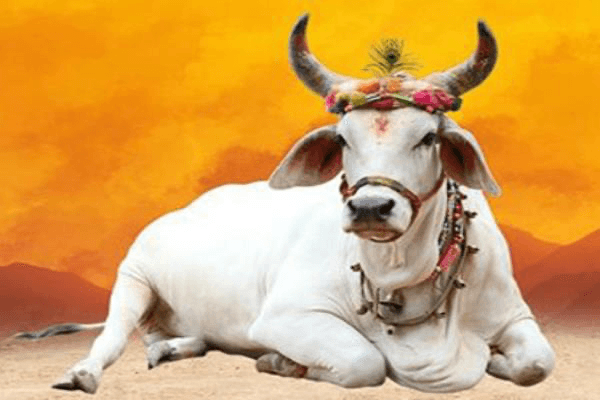 अच्छा समय आने की 7 निशानियां, यदि आपके साथ भी हो रही हैं ऐसी चीजें तो हो जाइए खुश, “ • ˌ अच्छा समय आने की 7 निशानियां, यदि आपके साथ भी हो रही हैं ऐसी चीजें तो हो जाइए खुश, “ • ˌ