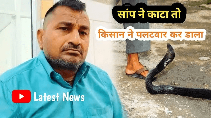 सांप ने काटा तो गुस्से से पागल हो गया किसान, उसे ही चबाकर खा गया, फिर जो हुआ सोच भी नहीं सकते,, “ • ˌ सांप ने काटा तो गुस्से से पागल हो गया किसान, उसे ही चबाकर खा गया, फिर जो हुआ सोच भी नहीं सकते,, “ • ˌ